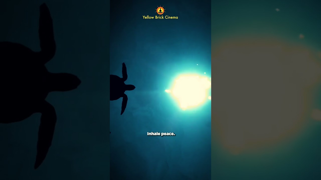 Inhale peace, exhale happiness 🧘 #shorts #relaxingnaturesounds