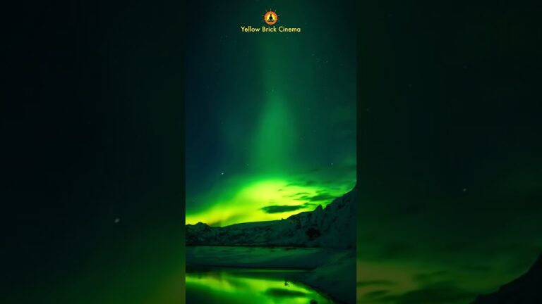 Your life does not get better by chance, it gets better by change #shorts #relaxingmusic