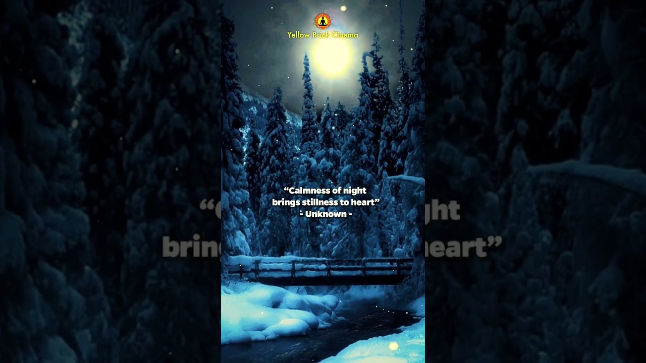 “Calmness of night, brings stillness to heart” 🌙 #shorts #relaxingsleepmusic #nature