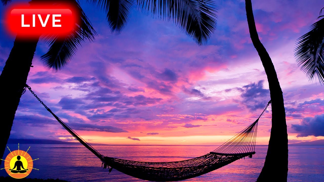 🔴 Relaxing Sleep Music 24/7, Calm Music, Yoga, Sleep Meditation, Spa, Study Music, Ocean Sounds