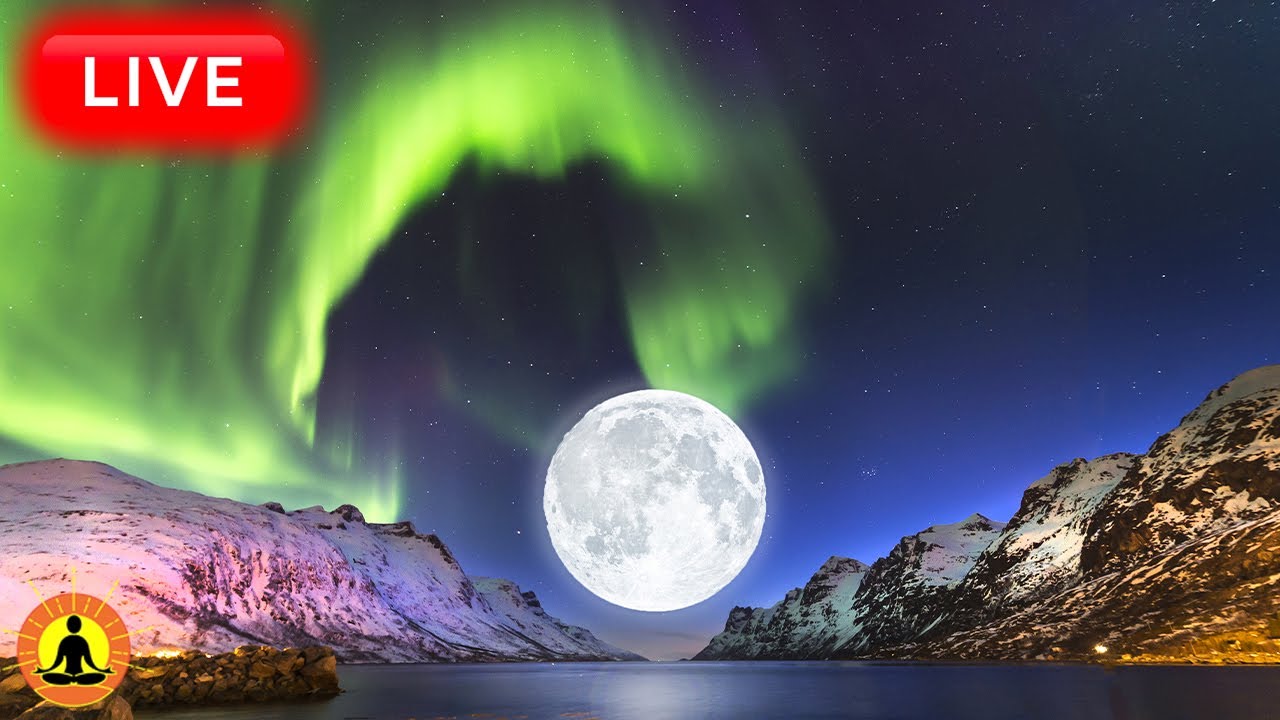 🔴 Sleep Music 24/7, Sleep Meditation, Relaxing Music, Meditation Music, Spa, Study, Ocean Waves