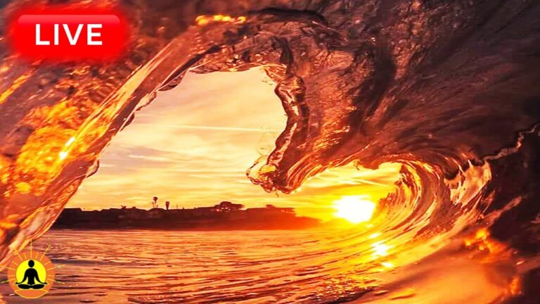 🔴 Relaxing Sleep Music 24/7, Calm Music, Yoga, Sleep Meditation, Spa, Study Music, Ocean Waves