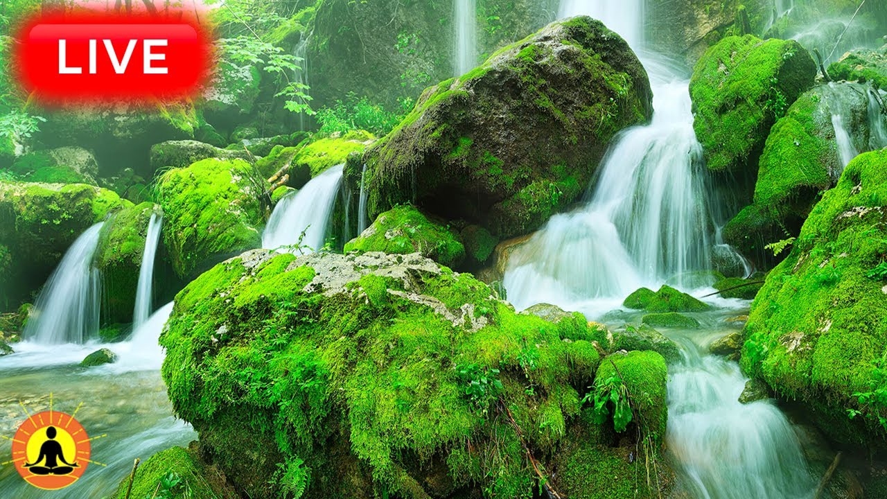 🔴 Relaxing Zen Music 24/7, Stress Relief Music, Sleep Music, Meditation Music, Study, Waterfall