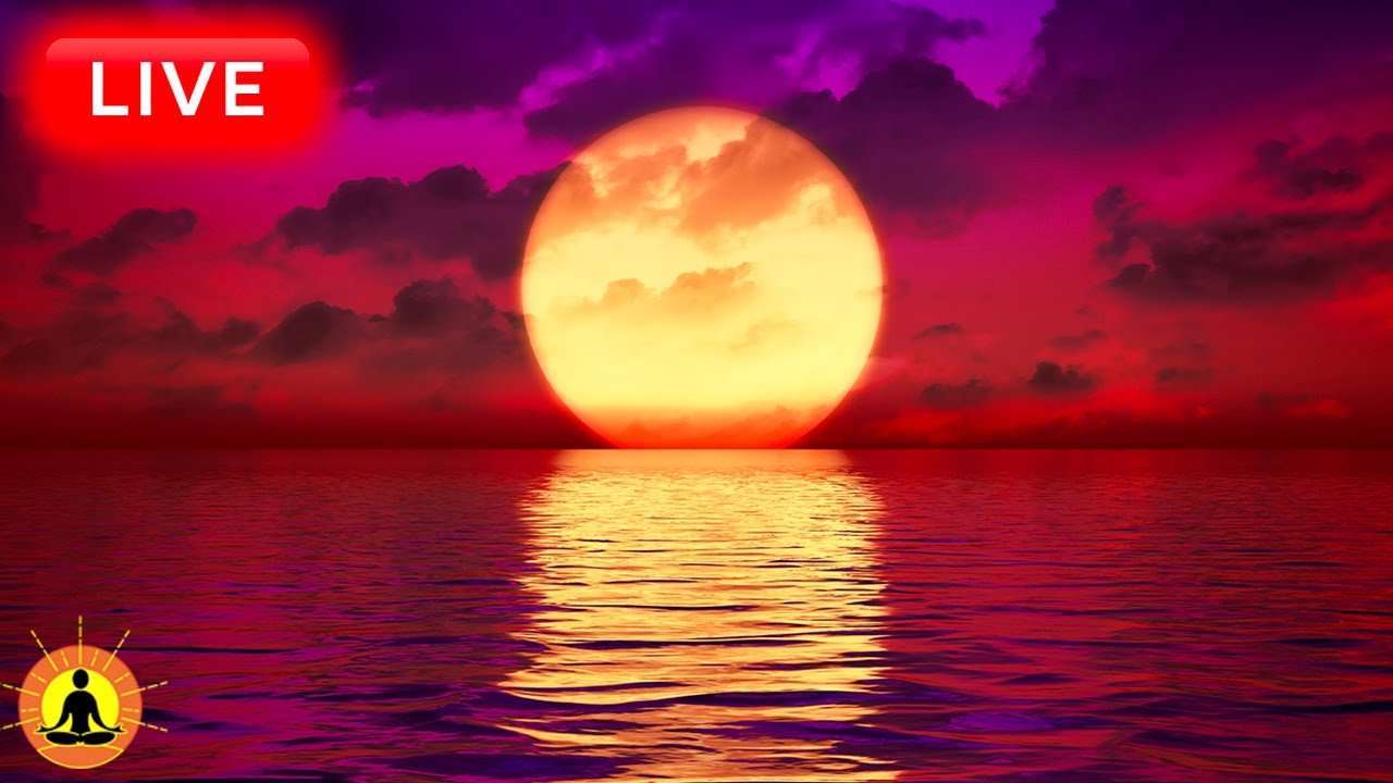 🔴 Relaxing Music 24/7, Healing Music, Meditation Music, Spa Music, Sleep, Zen, Study Music, Rain