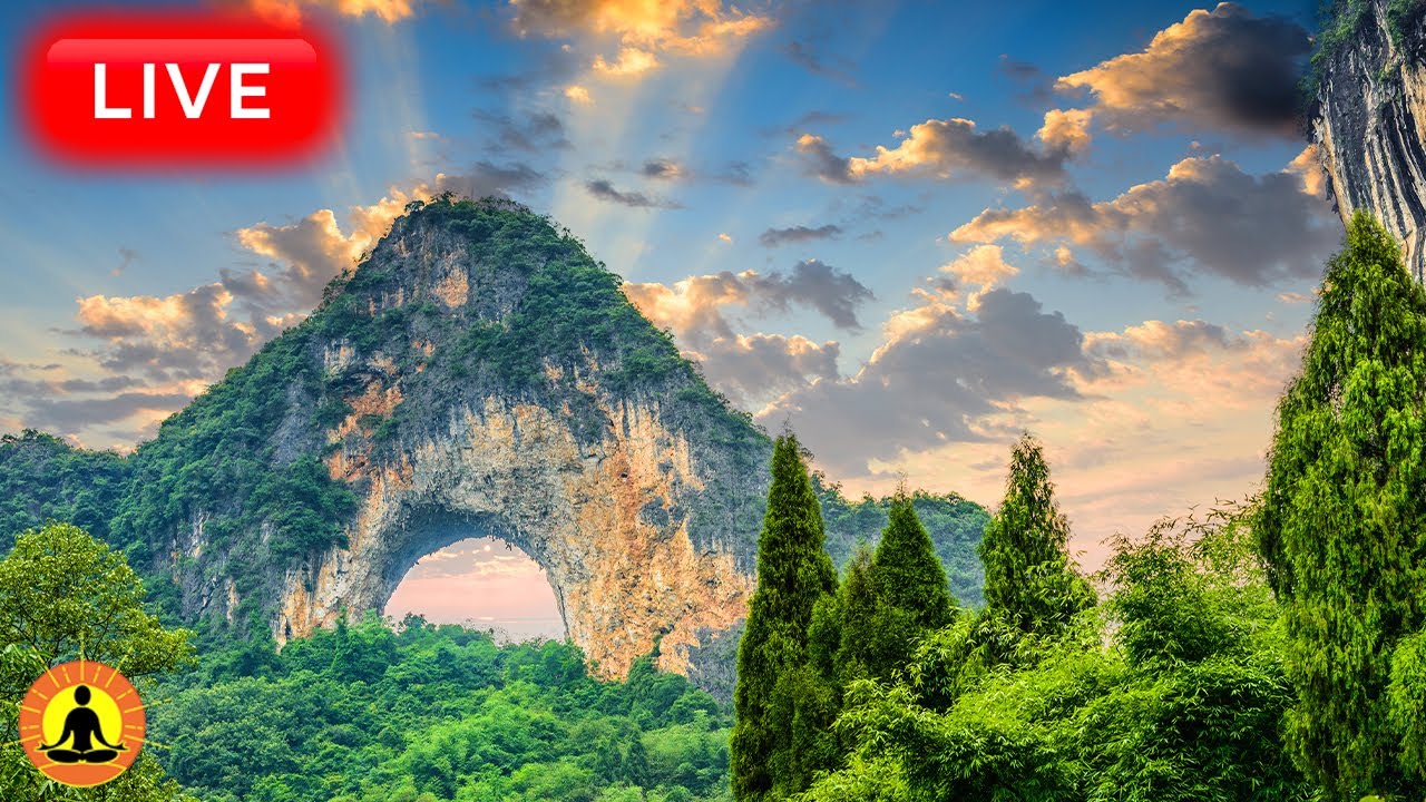 🔴 Relaxing Music 24/7, Healing Music, Meditation Music, Spa Music, Sleep, Zen, Study Music, Yoga