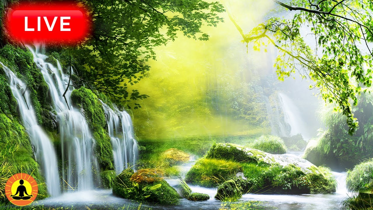 🔴 Relaxing Music 24/7, Healing Music, Meditation Music, Spa Music, Sleep, Zen, Waterfall Sounds