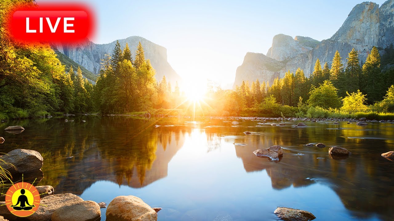 🔴 Relaxing Music 24/7, Sleep Music, Stress Relief Music, Spa, Meditation, Yoga, Zen, Bird Sounds