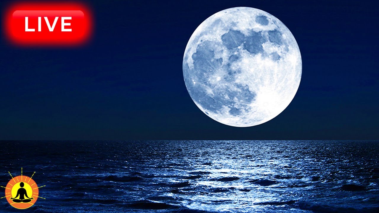 🔴 Deep Sleep Music 24/7, Sleeping Music, Insomnia, Meditation Music, Zen, Yoga, Study Music, Sleep