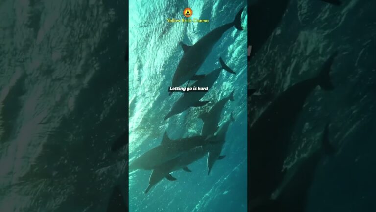 Letting go is hard, but being free is beautiful 🌊 #shorts #relaxingmusic