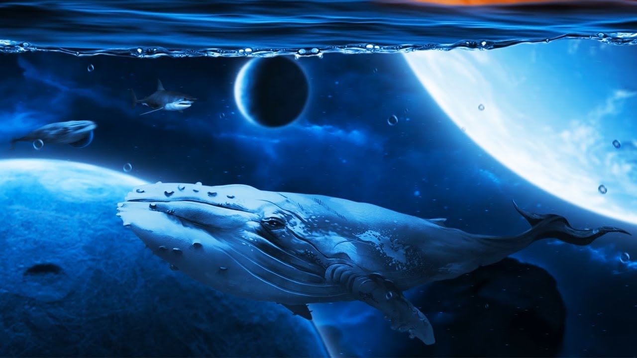 24 Hours Calming Sleep Music + Ocean Sounds ♡ Stress Relief Music, Insomnia, Night music