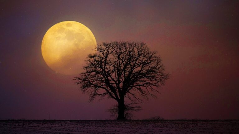 Heals You While You Sleep + Rain Sounds ♡ Calming Music To Help You Sleep, Insomnia Relief