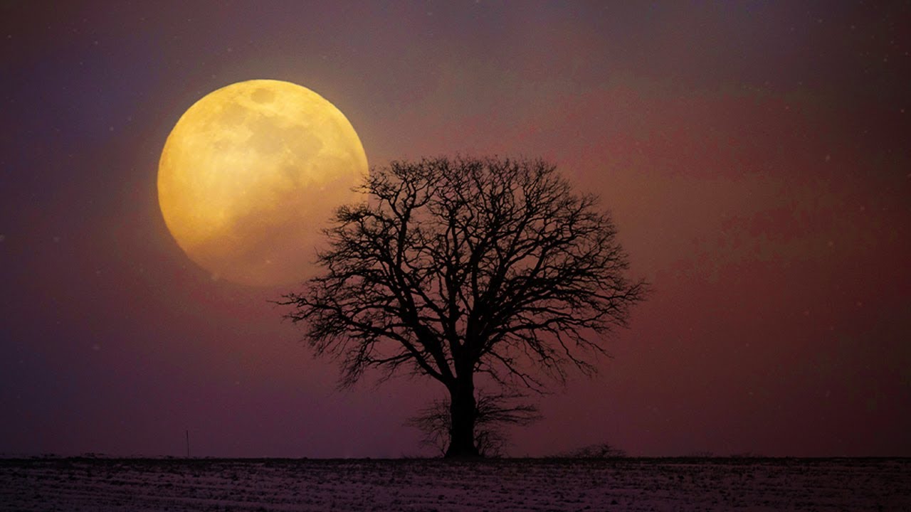 Heals You While You Sleep + Rain Sounds ♡ Calming Music To Help You Sleep, Insomnia Relief