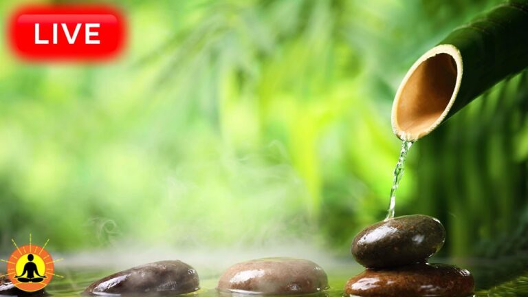 🔴 Relaxing Zen Music 24/7, Stress Relief Music, Sleep Music, Meditation Music, Study, Flowing Stream