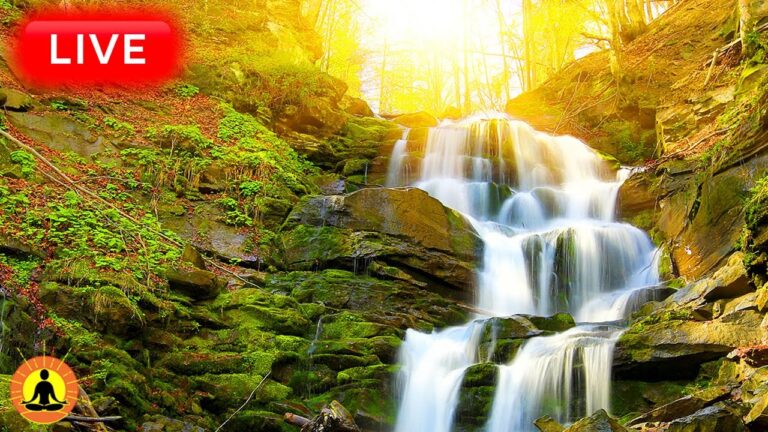 🔴 Relaxing Music 24/7, Healing Music, Meditation Music, Spa Music, Sleep, Zen, Flowing Stream