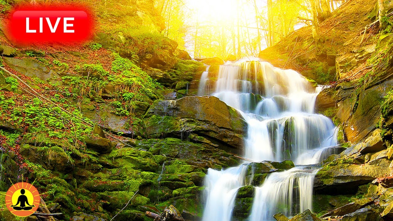 🔴 Relaxing Music 24/7, Healing Music, Meditation Music, Spa Music, Sleep, Zen, Flowing Stream