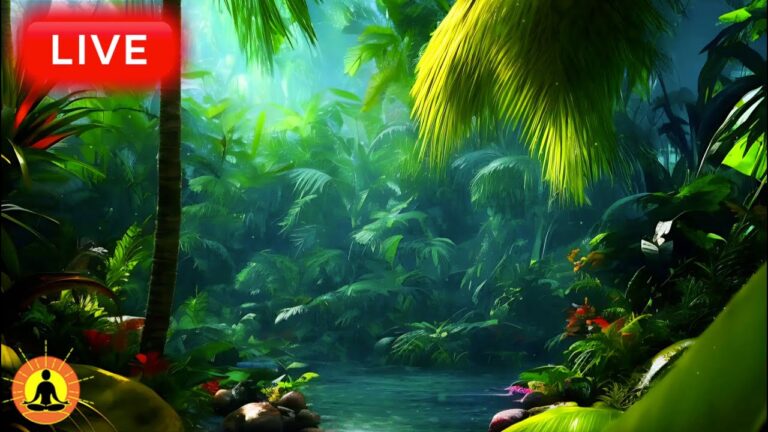 🔴 Rainforest Sounds 24/7, Sleep Music, Stress Relief Music, Spa, Meditation, Yoga, Nature Sounds