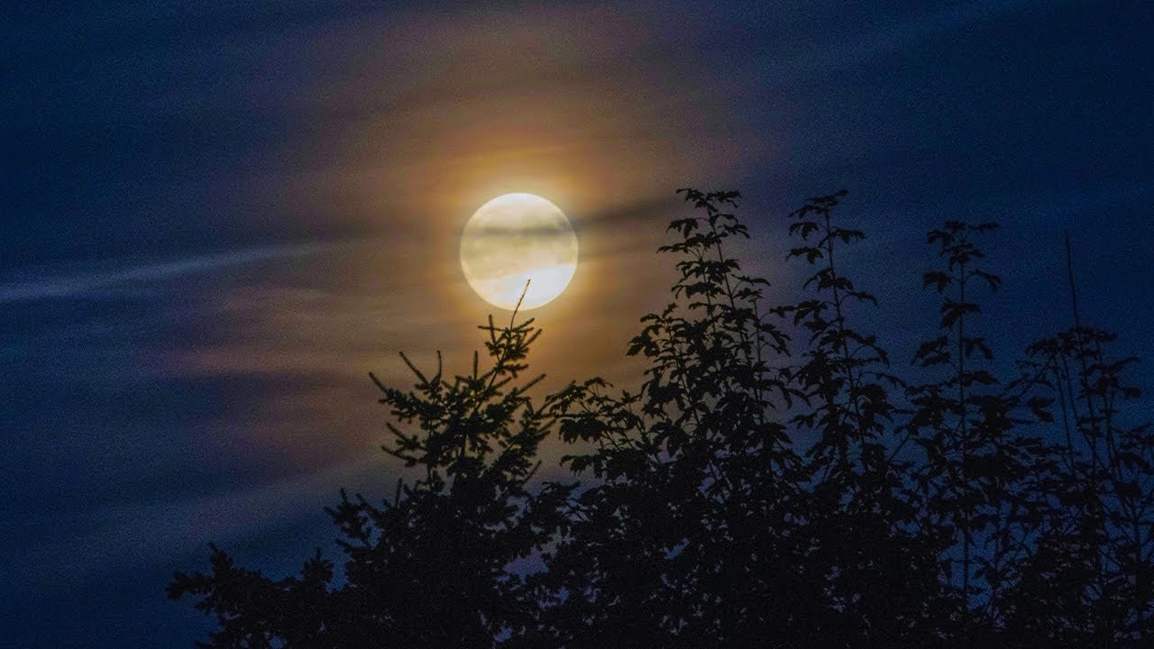 Eliminate Subconscious Negativity ♡ Remove Anger and Inner Sadness, Calming Music To Help You Sleep