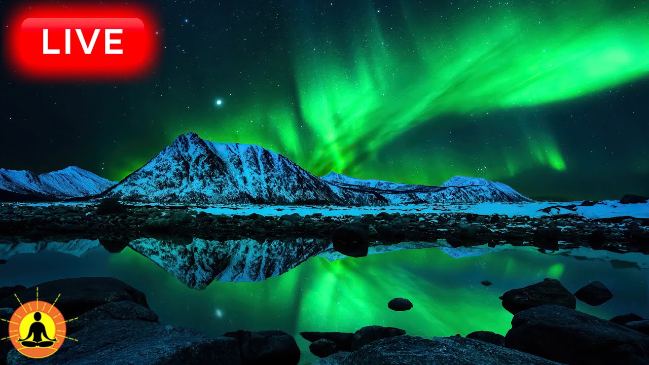 🔴 Deep Sleep Music 24/7, Sleeping Music, Insomnia, Meditation Music, Zen, Yoga, Study Music, Rain