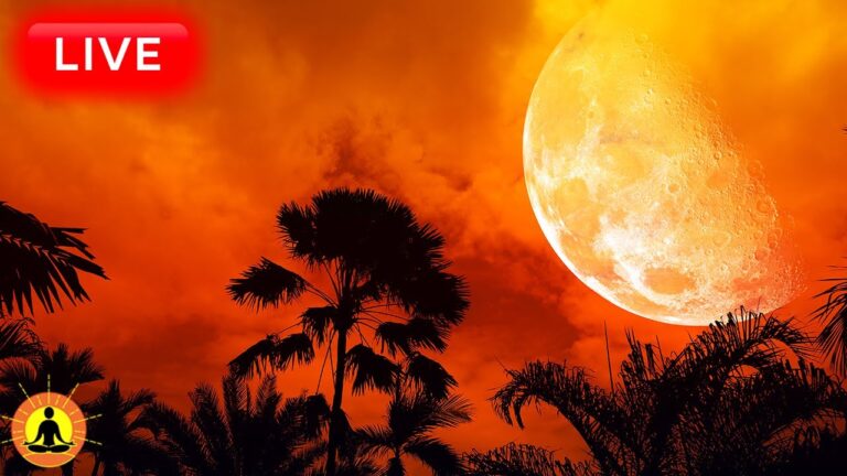 🔴 Deep Sleep Music 24/7, Sleeping Music, Insomnia, Meditation Music, Zen, Yoga, Study Music, Rain