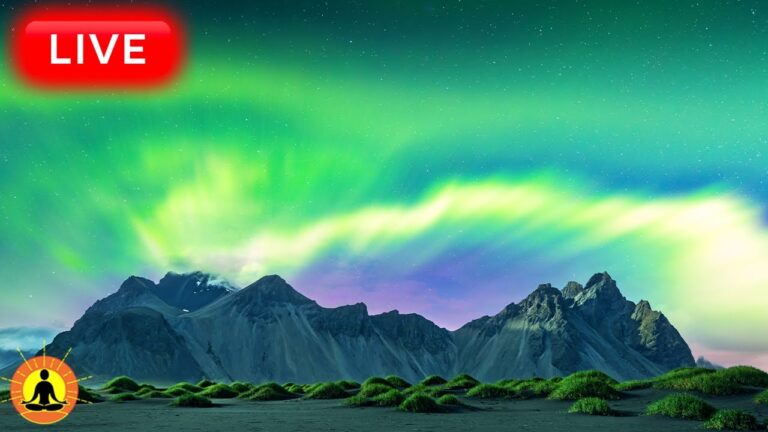 🔴  Deep Sleep Music 24/7, Sleeping Music, Insomnia, Meditation Music, Zen, Yoga, Study Music, Rain