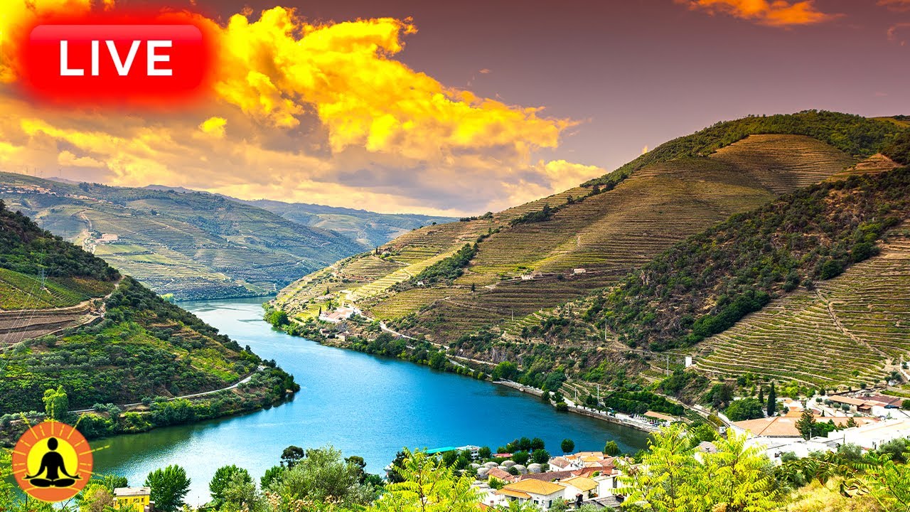 🔴 Relaxing Music 24/7, Healing Music, Meditation Music, Spa Music, Sleep, Zen, Study Music, River