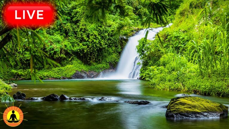 🔴 Relaxing Music 24/7, Healing Music, Meditation Music, Spa Music, Sleep, Zen, Study Music, River