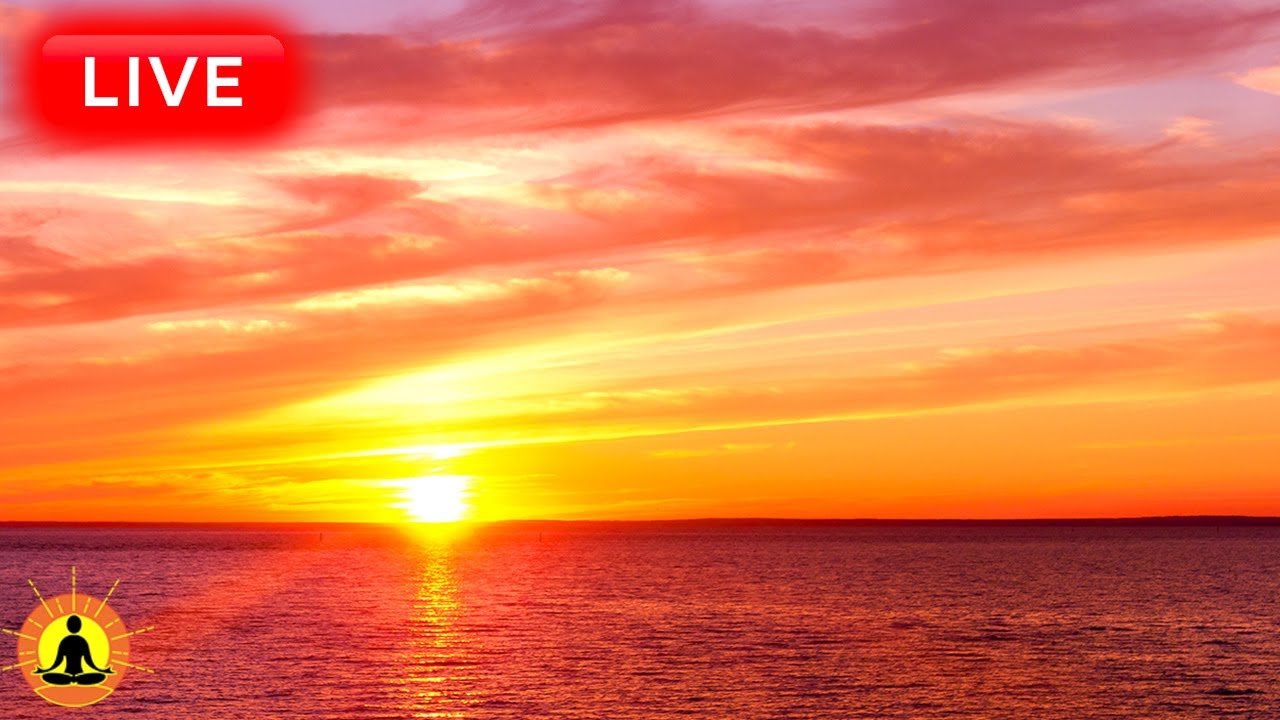 🔴 Relaxing Music 24/7, Healing Music, Meditation Music, Spa Music, Sleep, Zen, Study Music, River