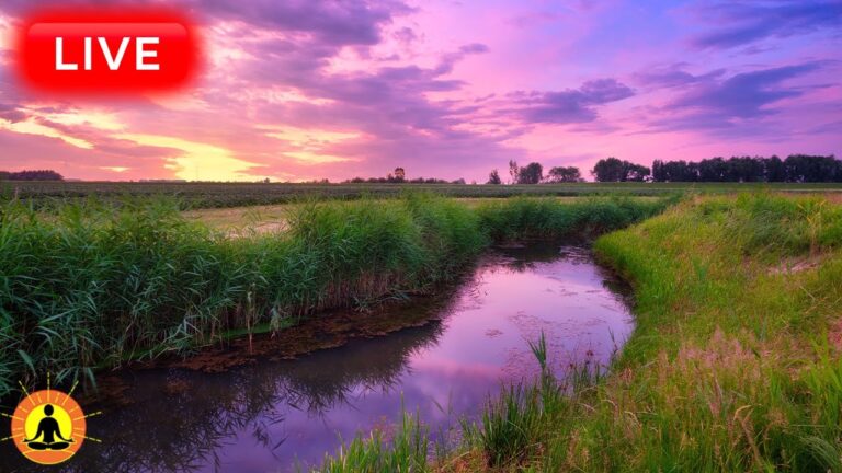 🔴 Relaxing Music 24/7, Healing Music, Meditation Music, Spa Music, Sleep, Zen, Study Music, River