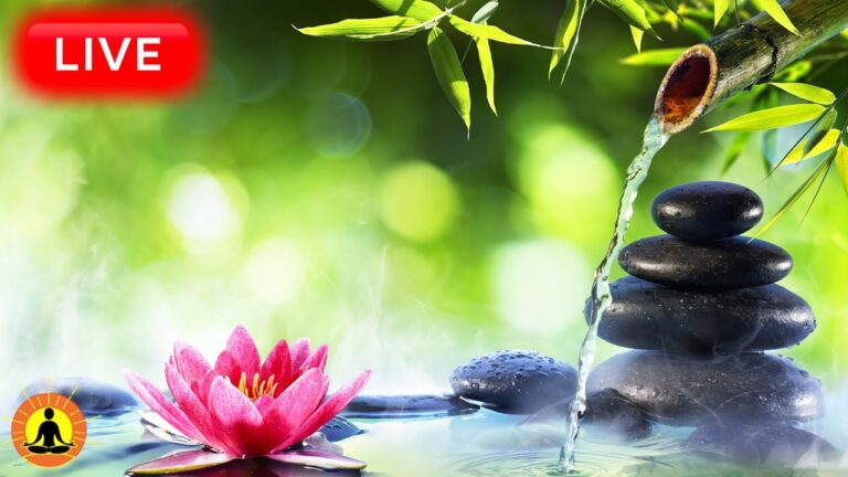 🔴 Relaxing Music 24/7, Healing Music, Meditation Music, Spa Music, Sleep, Zen, Study Music, River