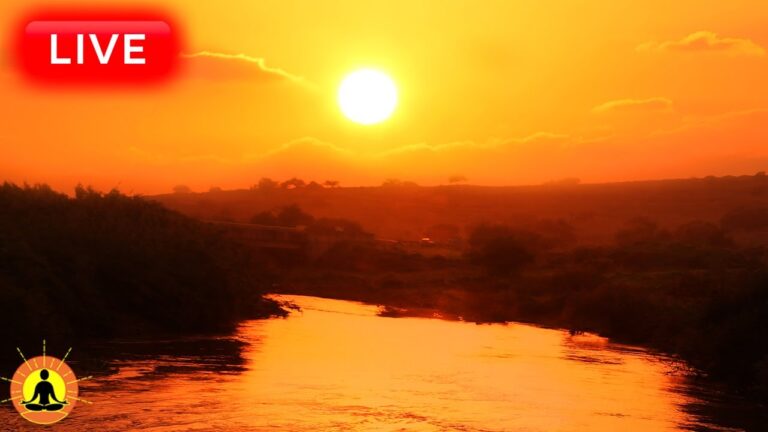 🔴 Relaxing Music 24/7, Sleep Music, Stress Relief Music, Spa, Meditation, Yoga, Zen, Ocean Sounds