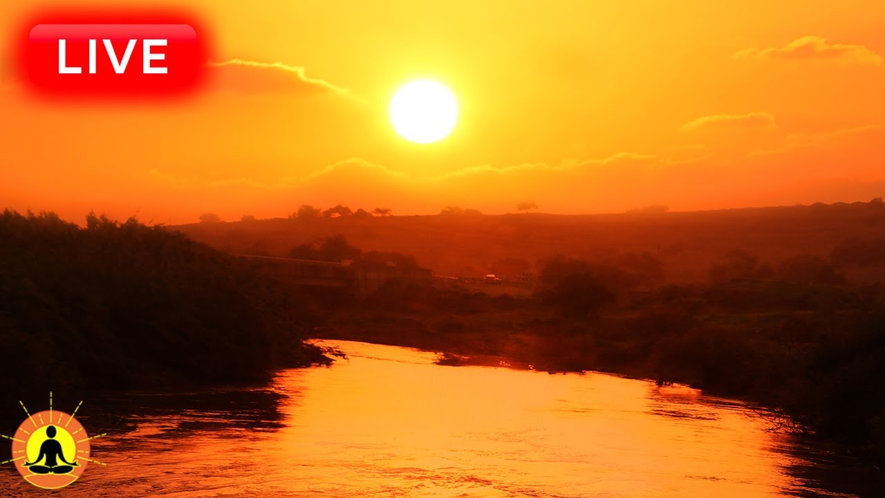 🔴 Relaxing Music 24/7, Sleep Music, Stress Relief Music, Spa, Meditation, Yoga, Zen, Ocean Sounds