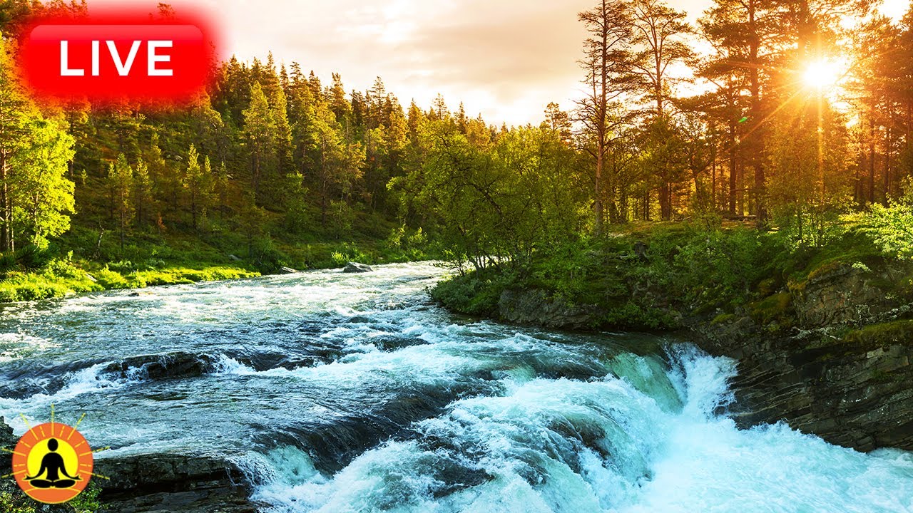 🔴 Relaxing Music 24/7, Stress Relief Music, Sleep Music, Meditation Music, Calming Music, River