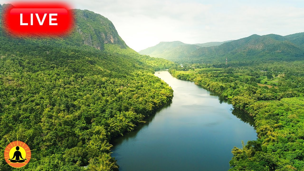 🔴 Relaxing Music 24/7, Stress Relief Music, Sleep Music, Meditation Music, Calming Music, River