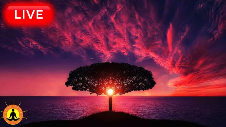 🔴 Relaxing Music 24/7, Stress Relief Music, Sleep Music, Meditation Music, Study, Calming Music