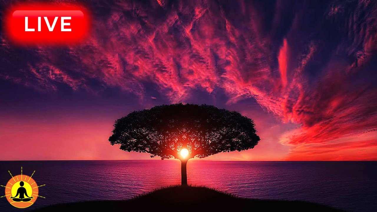 🔴 Relaxing Music 24/7, Stress Relief Music, Sleep Music, Meditation Music, Study, Calming Music