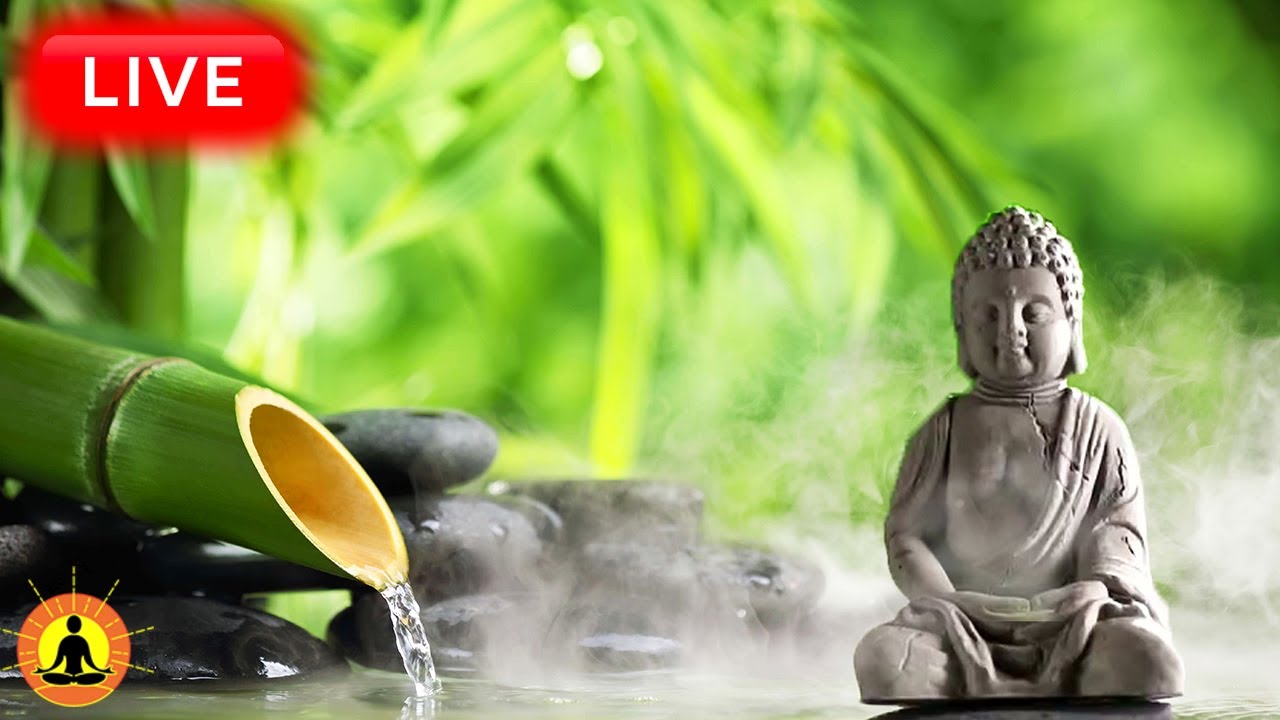 🔴 Relaxing Zen Music 24/7, Stress Relief Music, Sleep Music, Meditation Music, Study, Flowing River