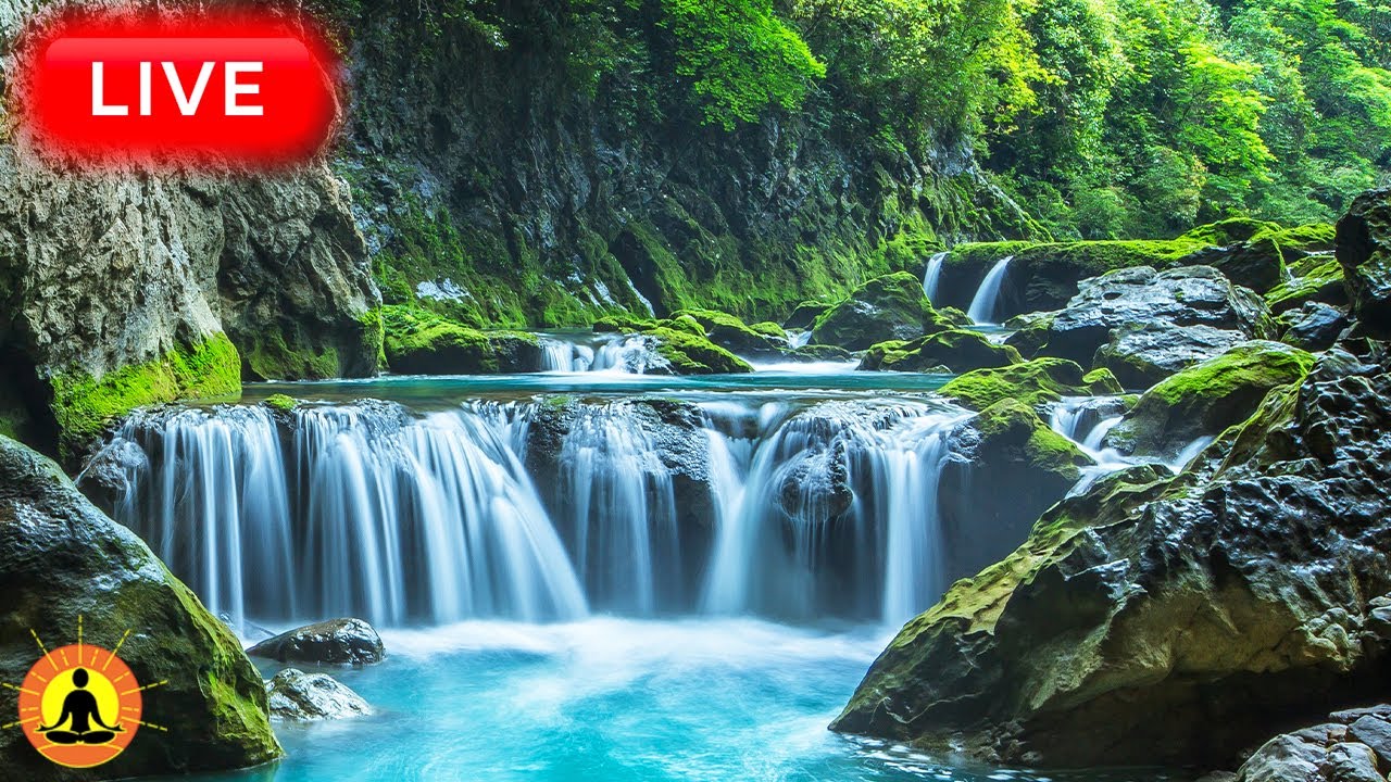 🔴 Relaxing Zen Music 24/7, Stress Relief Music, Sleep Music, Meditation Music, Study, Flowing River