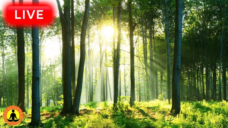 🔴 Relaxing Music 24/7, Stress Relief Music, Sleep Music, Meditation Music, Study, Gentle Stream