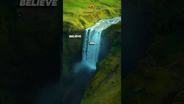 BELIEVE YOU CAN 🌱#shorts #relaxingmusic