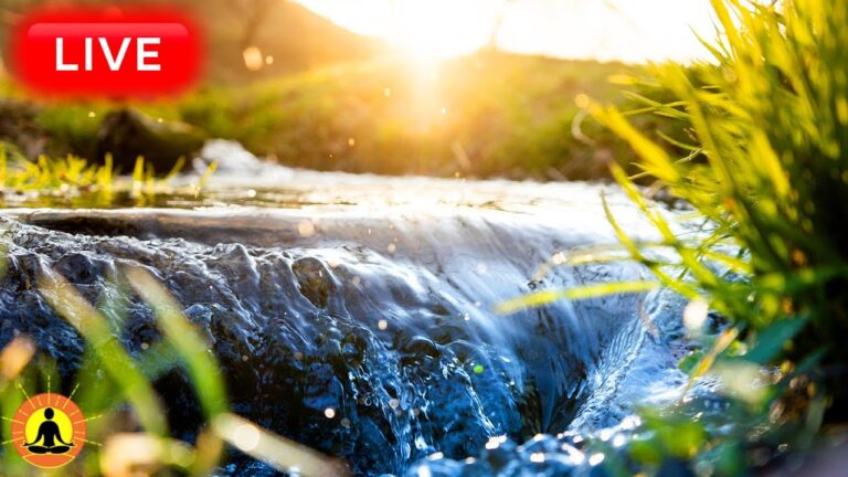 🔴 Relaxing Music 24/7, Healing Music, Meditation Music, Spa Music, Sleep, Zen, River Sounds