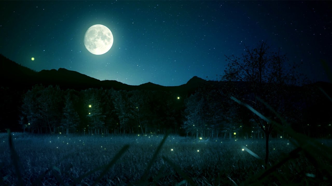 (One Day) Calming Sleep Music + Rain Sounds ♡ Stress Relief Music, Insomnia