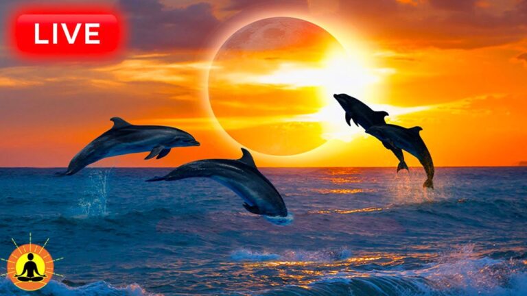 🔴 Sleep Music 24/7, Sleep Meditation, Relaxing Music, Meditation Music, Spa, Study, Sleeping Music