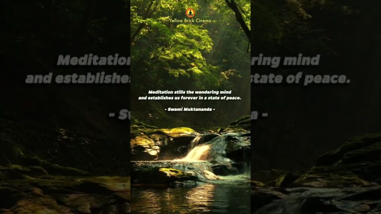 Meditation stills the wandering mind and establishes us forever in a state of peace #shorts #relax