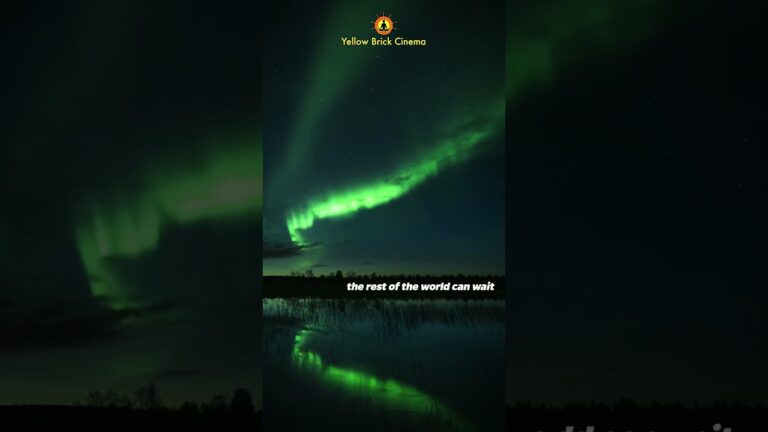 Be enough for yourself first, the rest of the world can wait #shorts #relaxingmusic