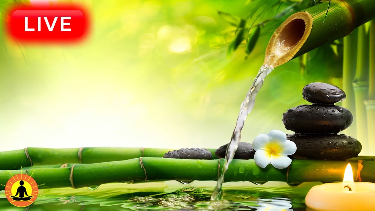 🔴 Relaxing Zen Music 24/7, Healing Music, Meditation Music, Spa Music, Sleep, Zen, Study Music