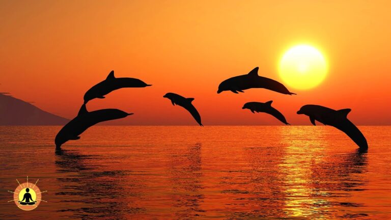 Relaxing Music, Healing Music, Meditation Music, Spa Music, Sleep, Zen, Study Music, Yoga ☯3746