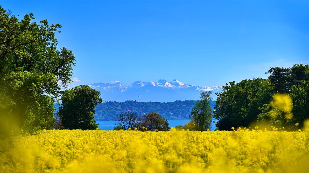 3 Hours Relaxing Meditation Music ♡ Stress Relief, Healing Music, Sleep Music