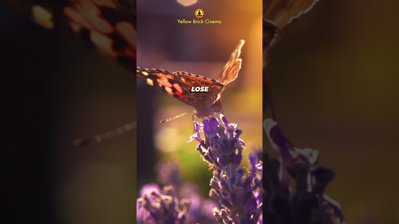 Never lose hope 🙏 #shorts #relaxingmusic