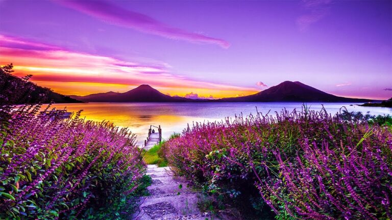 3 Hours Relaxing Meditation Music ♡ Sleep Music, Healing Music, Relaxing Music