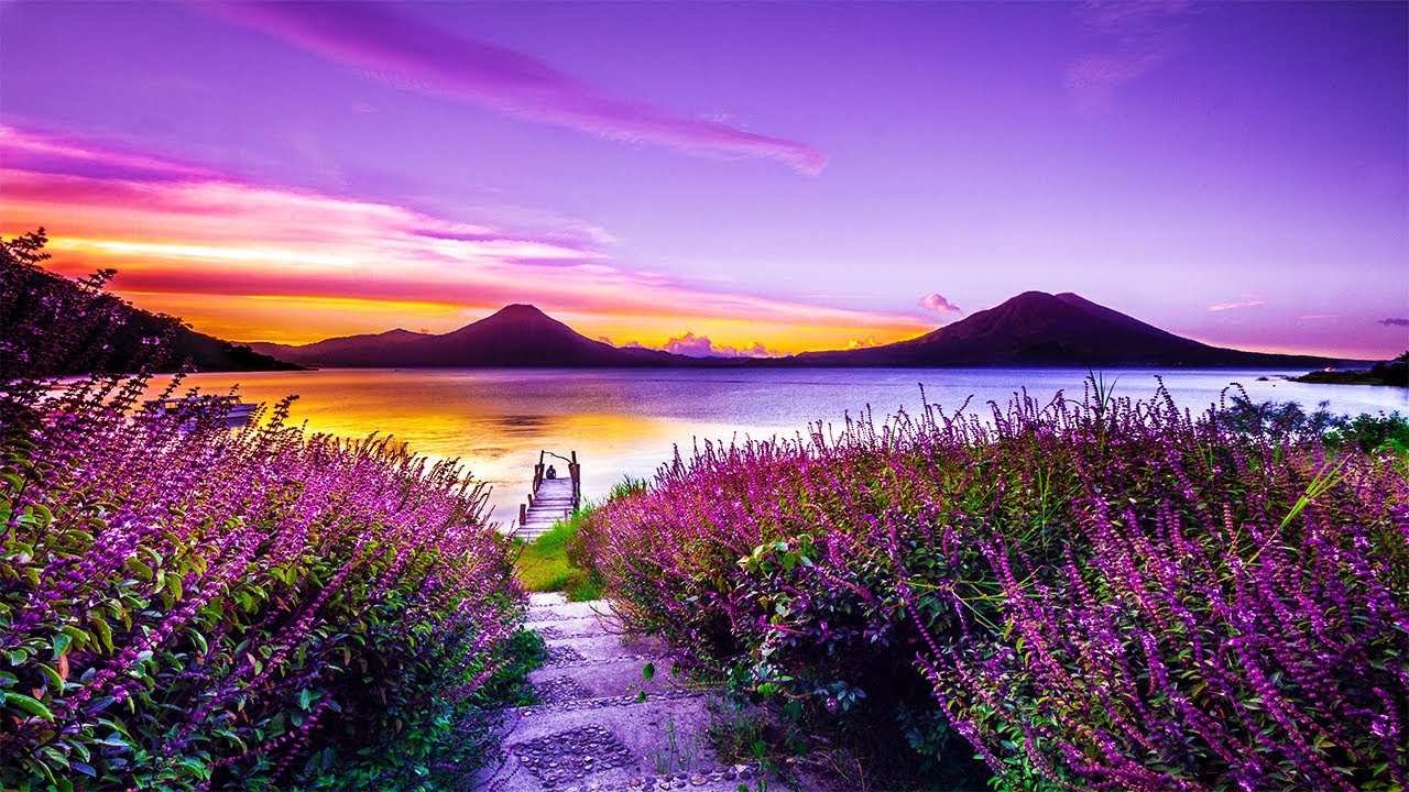 3 Hours Relaxing Meditation Music ♡ Sleep Music, Healing Music, Relaxing Music